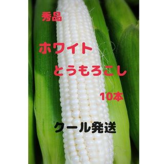 秀品ホワイトとうもろこし 10本(野菜)