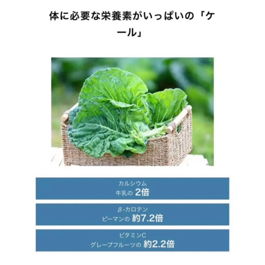 青汁　ケール青汁　4箱セット　青汁はちみつ入り ケールはちみつ入り　キューサイ 食品/飲料/酒の健康食品(青汁/ケール加工食品)の商品写真