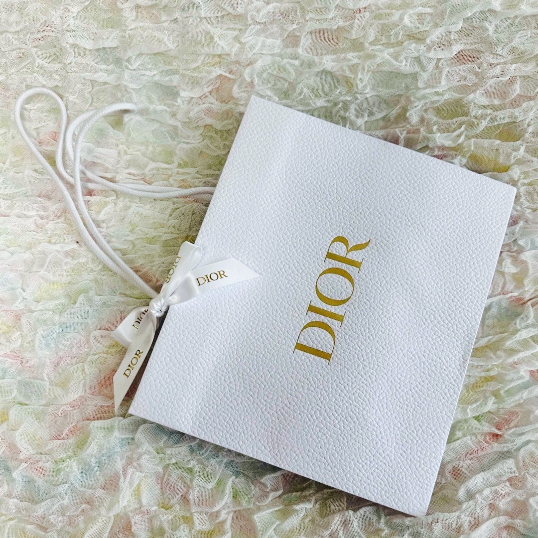 Christian Dior - ディオール ショップ袋 リボン付き ショッパー Christian Dior - ディオール ショップ袋 リボン付き ショッパー