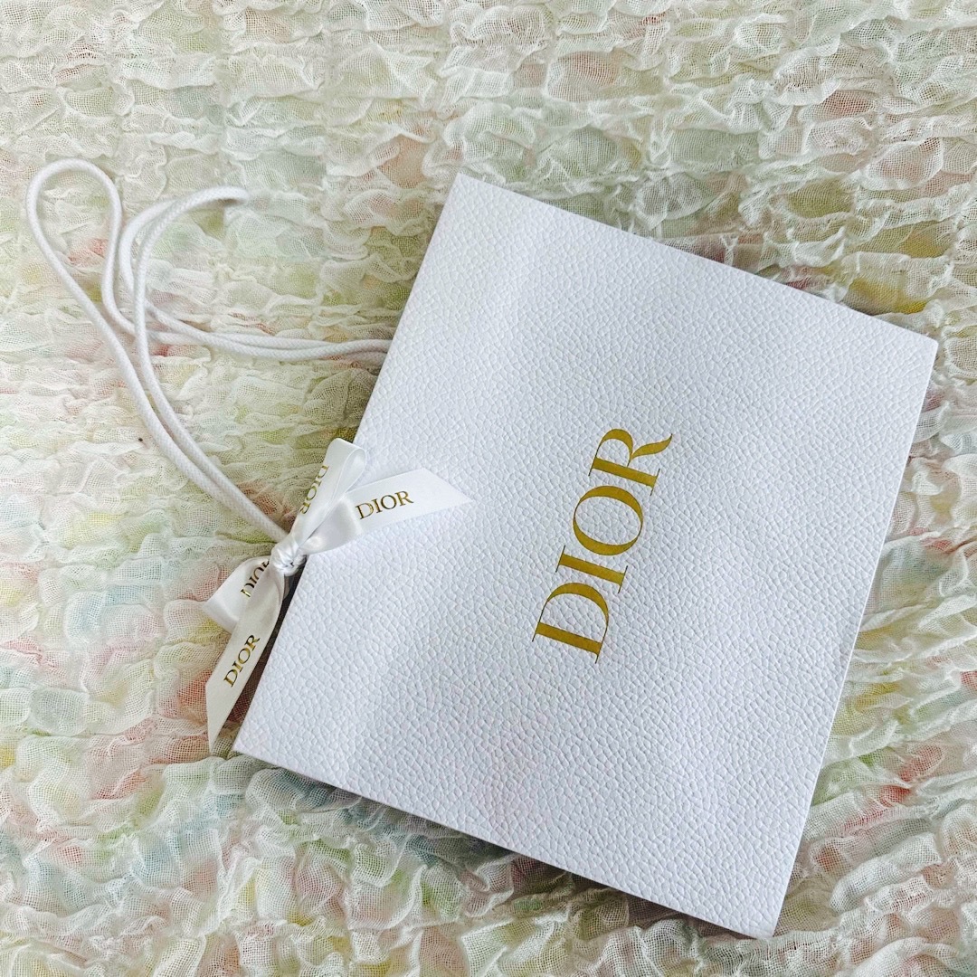 Christian Dior(クリスチャンディオール)のディオール ショップ袋　リボン付き　ショッパー　クリスチャンディオール レディースのバッグ(ショップ袋)の商品写真