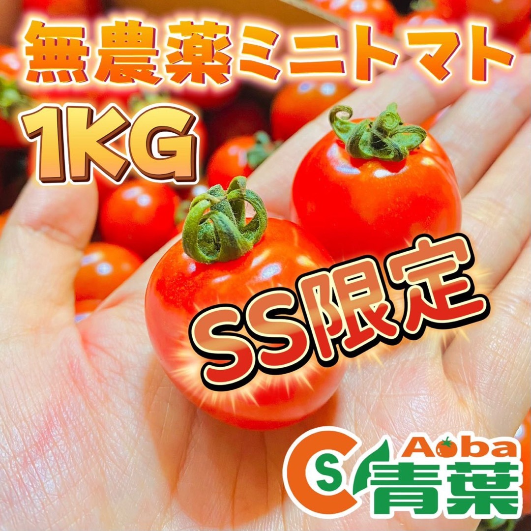 数量限定 SSサイズ無農薬ミニトマト 1kg 甘い 濃厚 茨城県産 農園直送の通販 by 農事組合法人青葉 ミニトマト 1kg