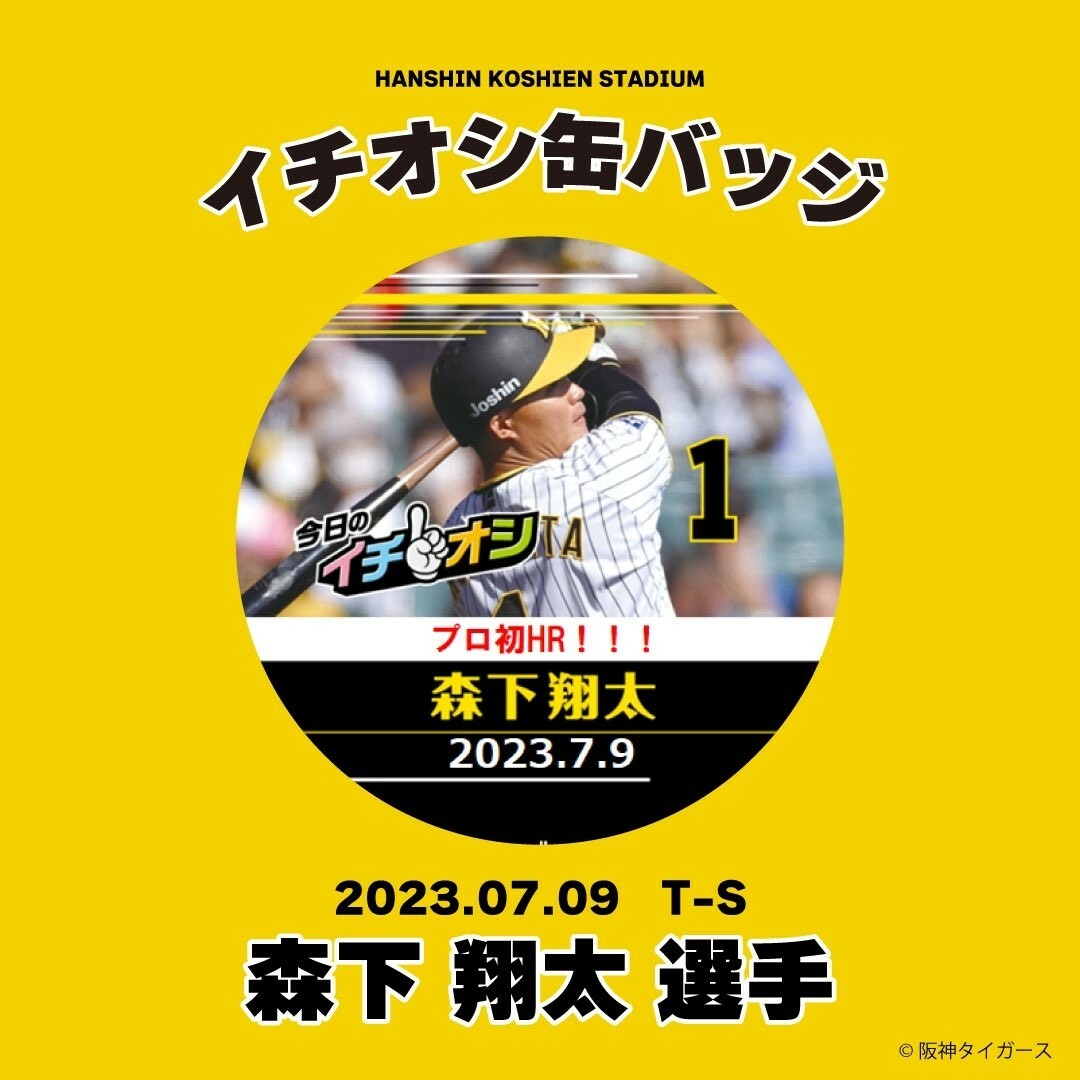 バーゲンで 阪神タイガース 缶バッジ 岡田彰布