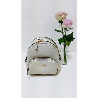 COACH　コーチリュックC8603