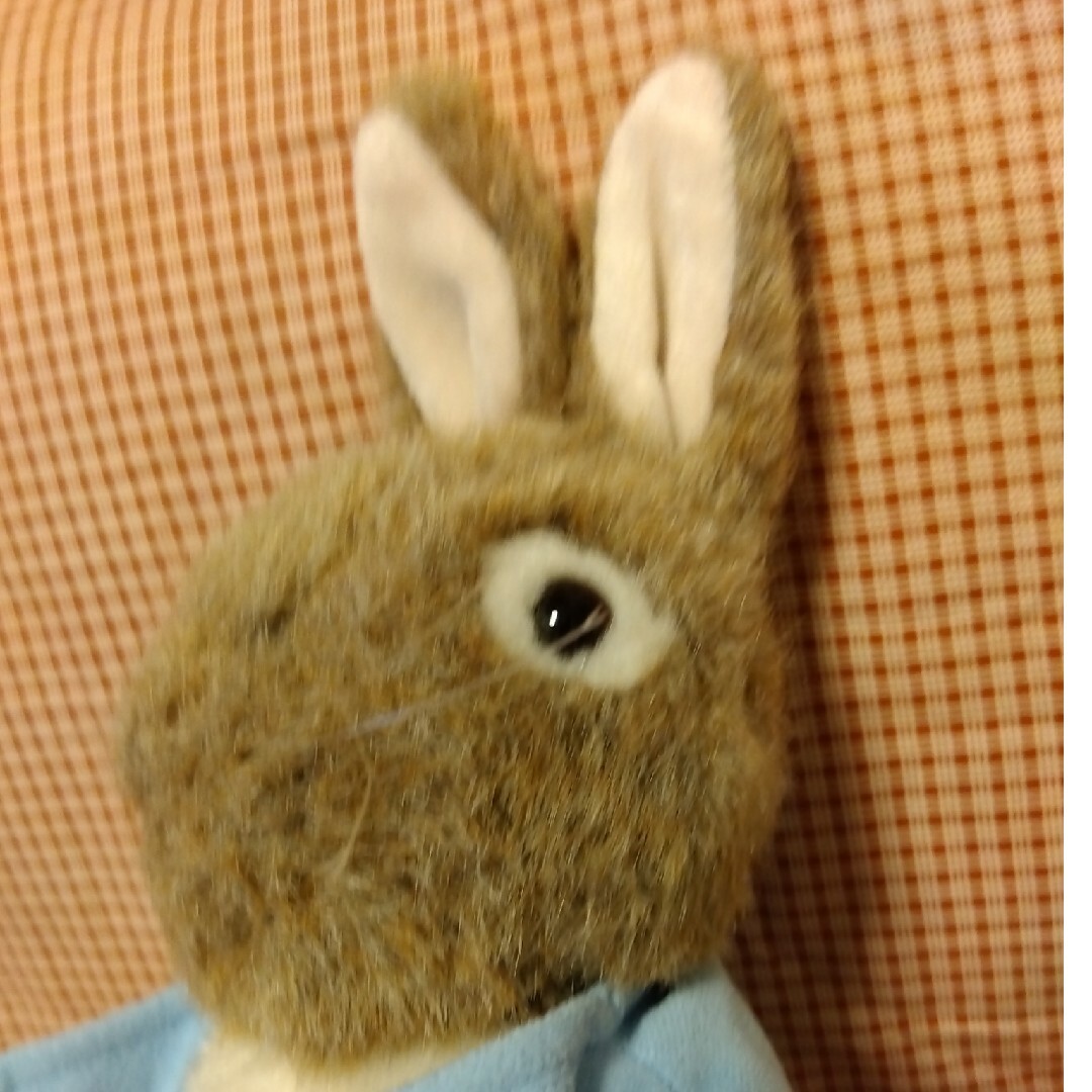 PETER RABBIT（TM）(ピーターラビット)のピーターラビットのぬいぐるみ キッズ/ベビー/マタニティのおもちゃ(ぬいぐるみ/人形)の商品写真