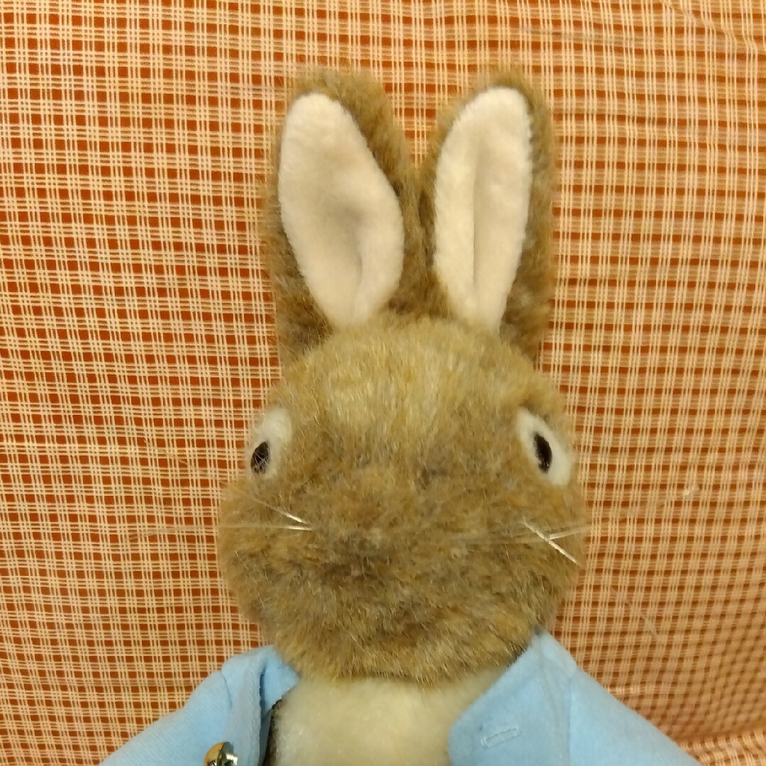 PETER RABBIT（TM）(ピーターラビット)のピーターラビットのぬいぐるみ キッズ/ベビー/マタニティのおもちゃ(ぬいぐるみ/人形)の商品写真