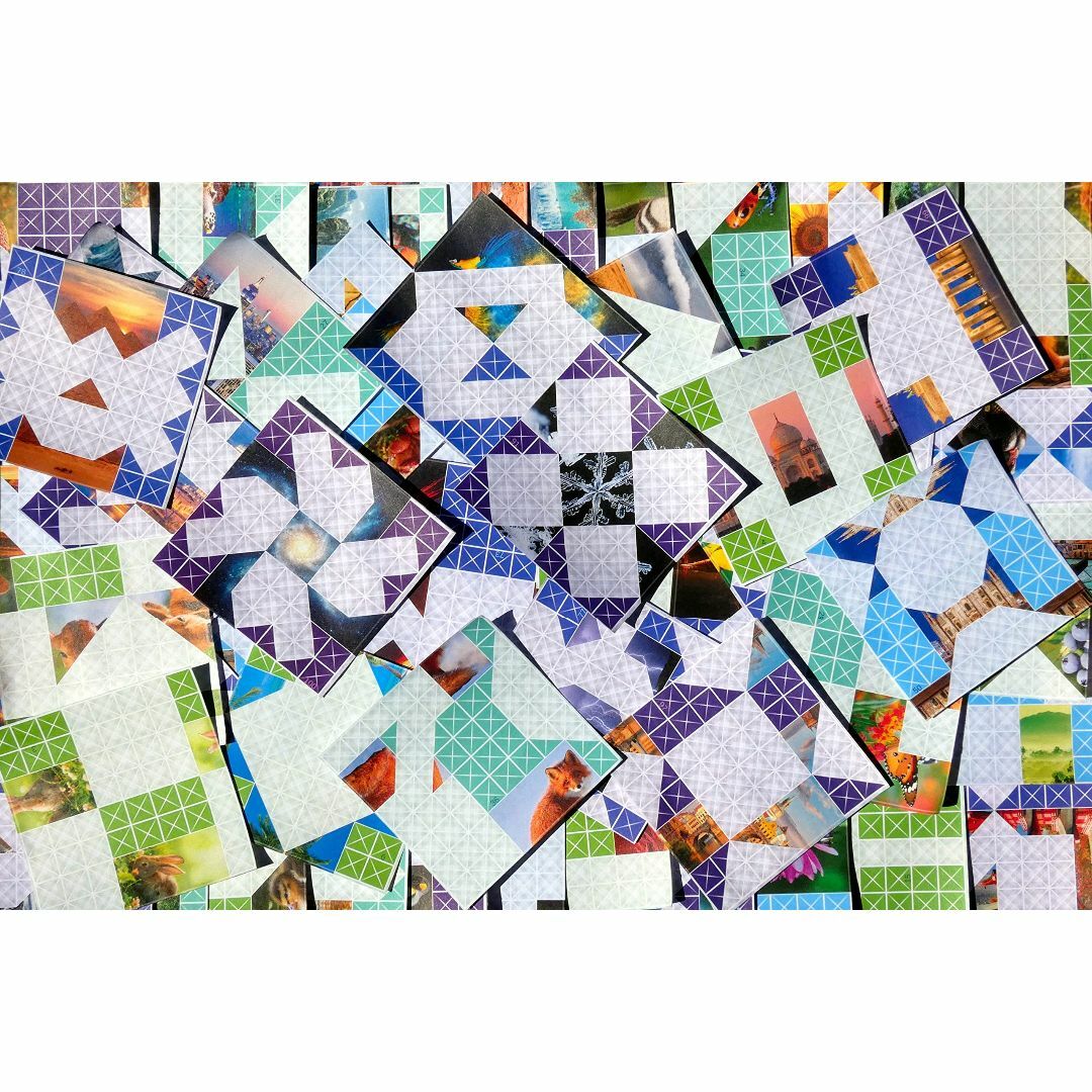 FOLDOLOGY 折り紙パズルゲーム FY01 1
