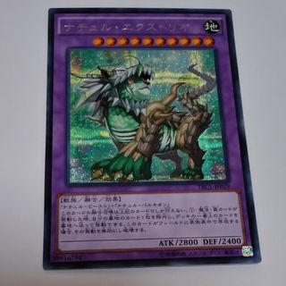 遊戯王ナチュル・エクストリオ シークレットdt ars10 psa