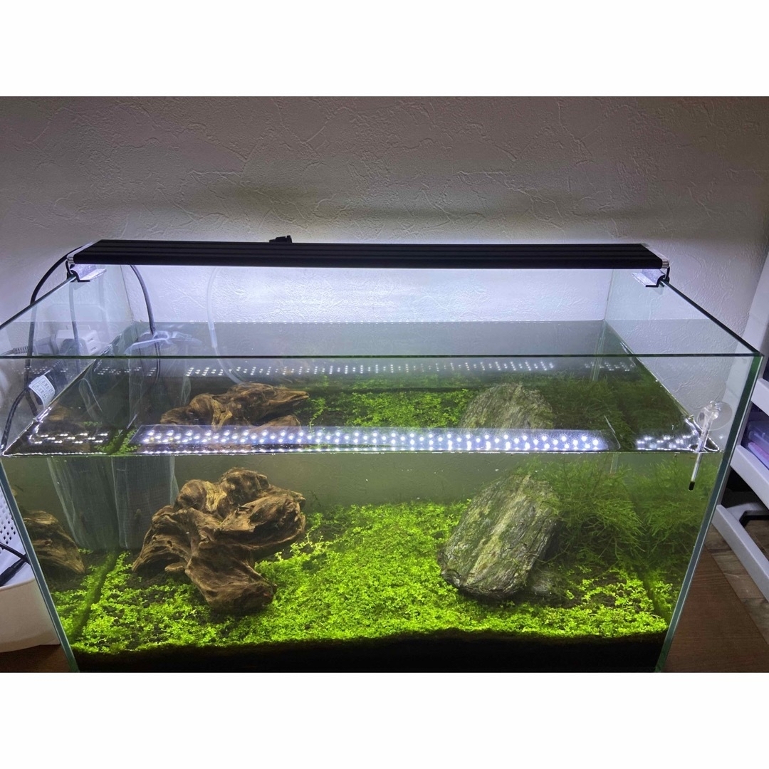⭐️値下げ中⭐️ アクアリウム 完成品 引取限定 ⭐️値下げ中⭐️ アクアリウム 完成品 引取限定