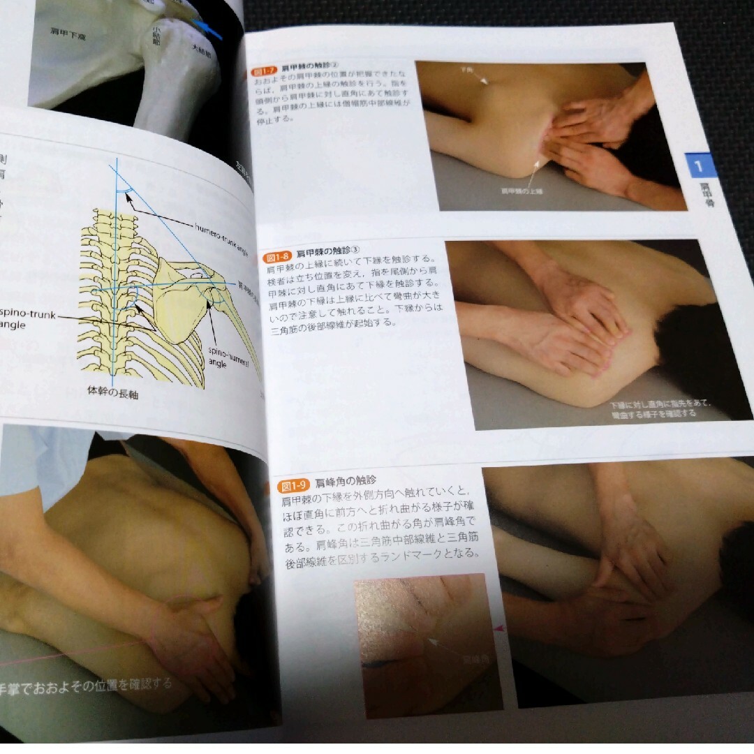 運動療法の為の触診技術上肢下肢2冊即配送　匿名配送　理学療法作業療法士必見　実習 エンタメ/ホビーの本(健康/医学)の商品写真