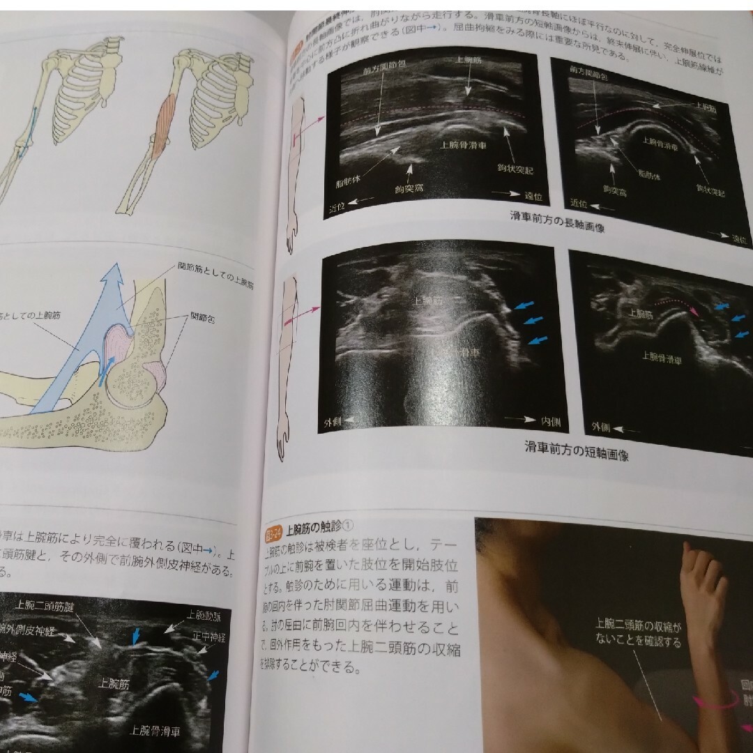 運動療法の為の触診技術上肢下肢2冊即配送　匿名配送　理学療法作業療法士必見　実習 エンタメ/ホビーの本(健康/医学)の商品写真