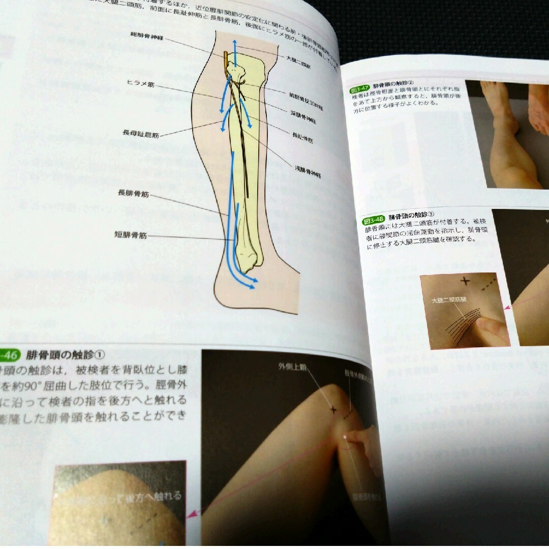 運動療法の為の触診技術上肢下肢2冊即配送　匿名配送　理学療法作業療法士必見　実習 エンタメ/ホビーの本(健康/医学)の商品写真