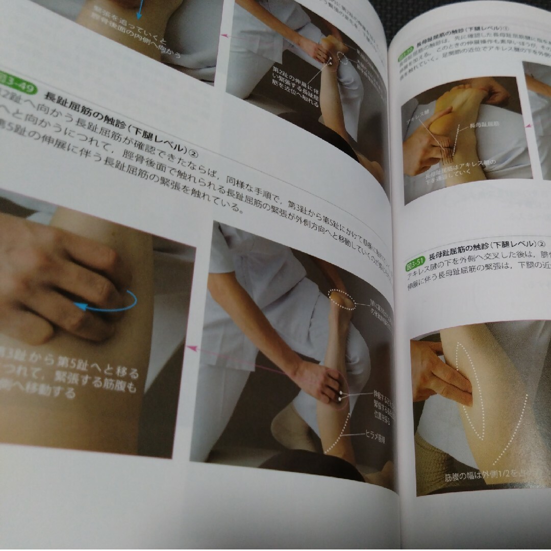 運動療法の為の触診技術上肢下肢2冊即配送 匿名配送 理学療法