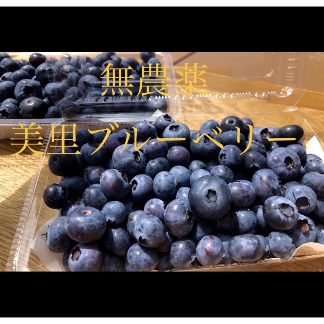 美里ブルーベリー♪1キロ 食品/飲料/酒の食品(フルーツ)の商品写真
