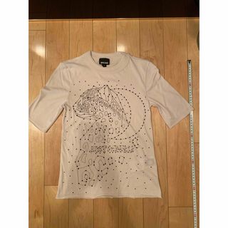 ジャストカヴァリ(Just Cavalli)のJast cavalli Tシャツ　新品未使用品　size:S(Tシャツ(半袖/袖なし))