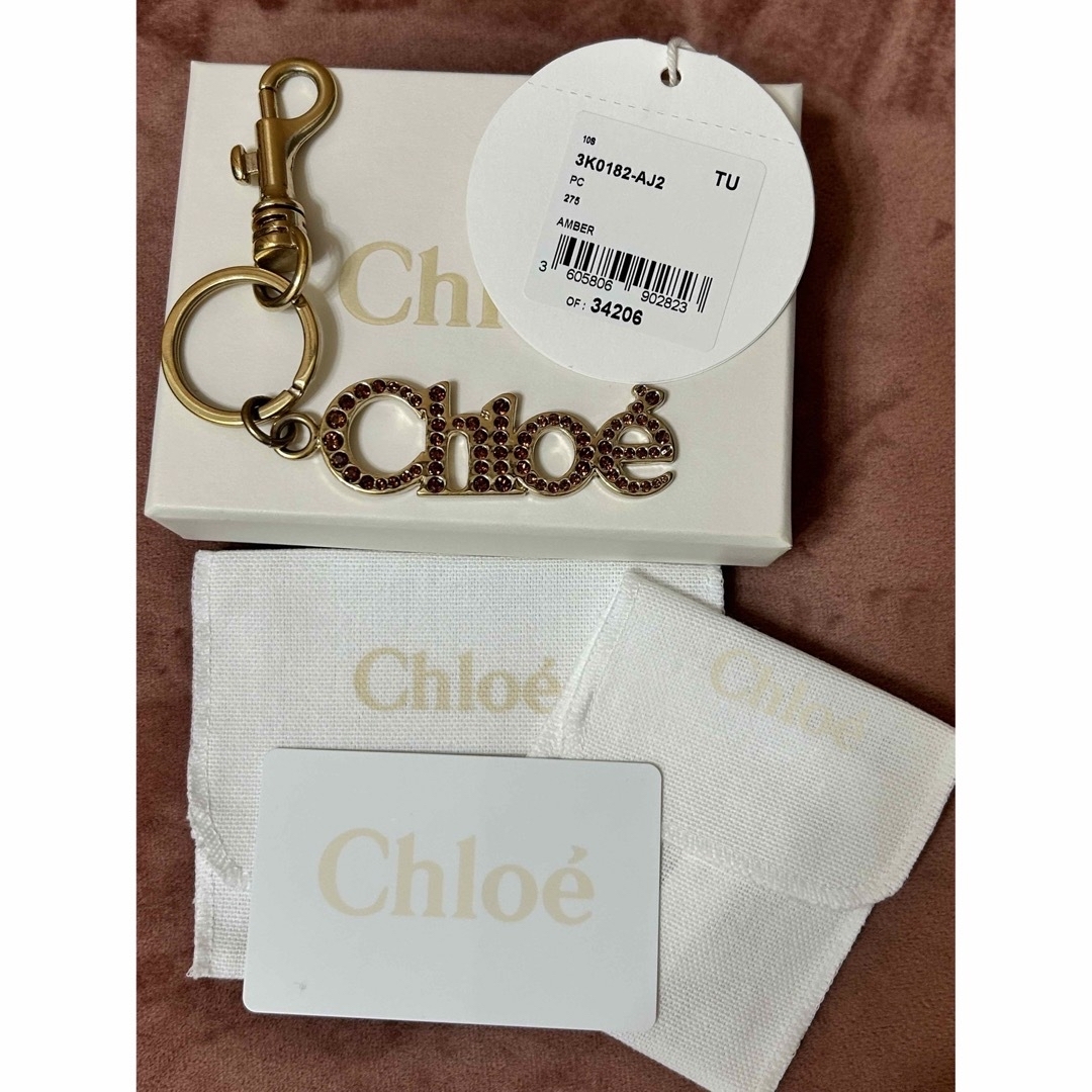 ショルダーバック????Chloeパラティ　スモール×バックチャーム付き