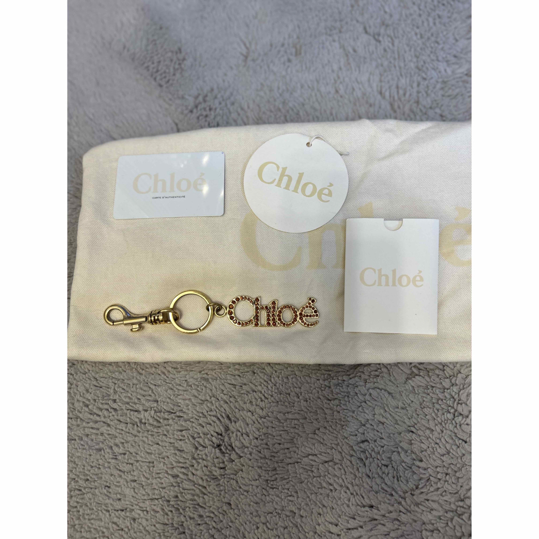 ショルダーバック????Chloeパラティ　スモール×バックチャーム付き