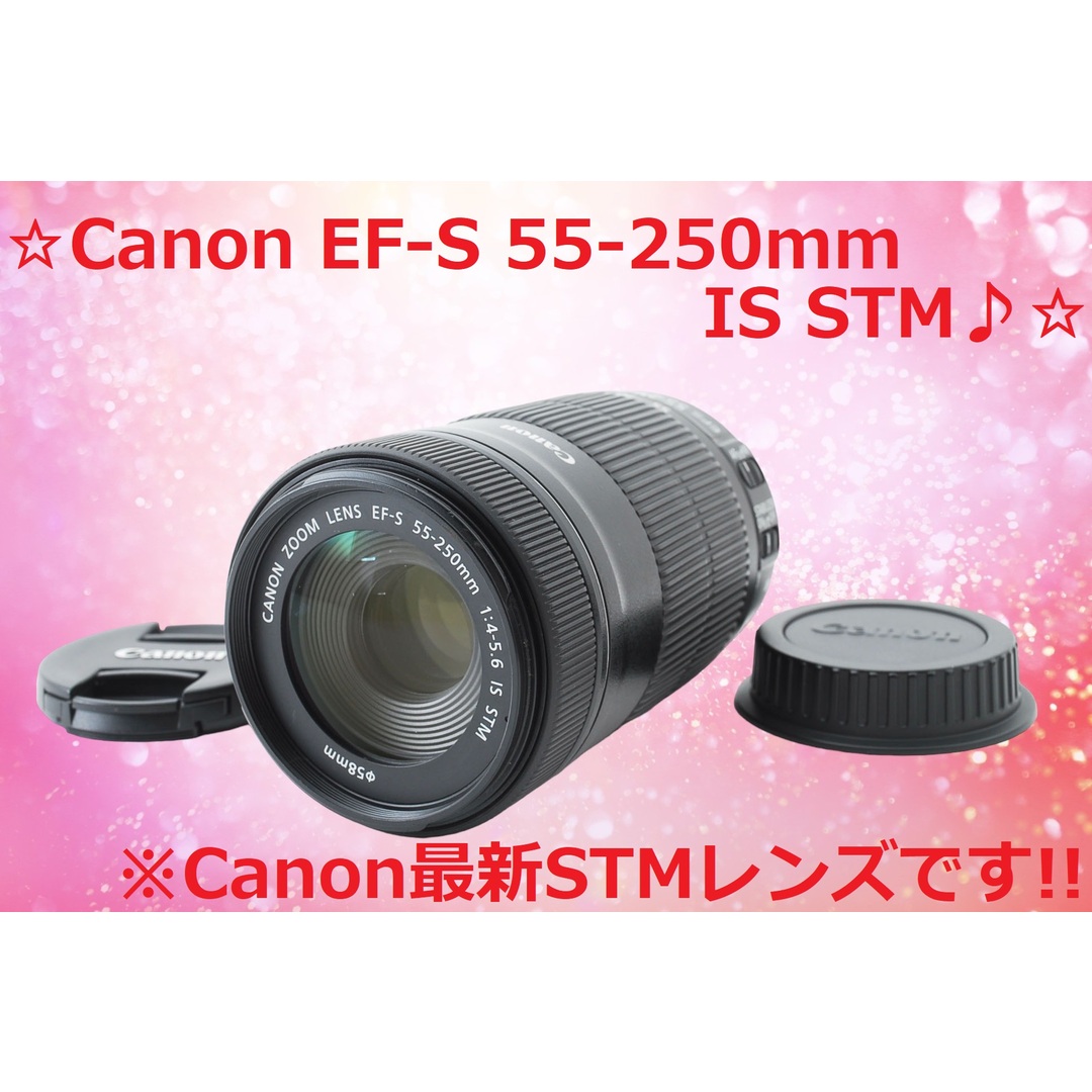 美品　Canon EF-S 55-250mm IS STM キヤノン
