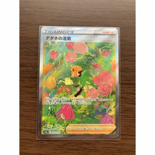 ポケモン(ポケモン)のポケモンカード　ナタネの活気 SAR(シングルカード)