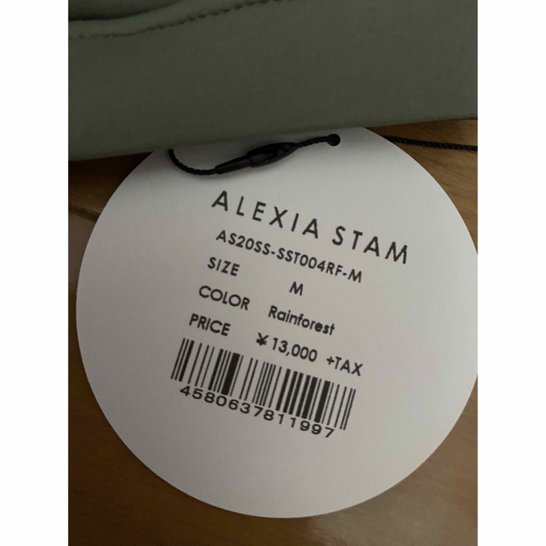 ALEXIA STAM(アリシアスタン)のレインフォレスト レディースの水着/浴衣(水着)の商品写真