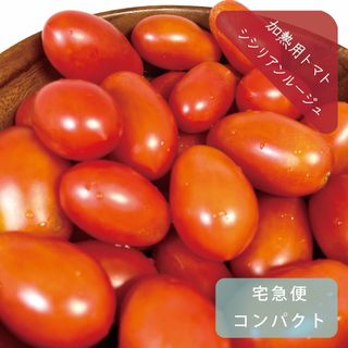 シシリアンルージュ　ヘタ無し1.2kg　加工用　イタリアントマト　ミニトマト(野菜)