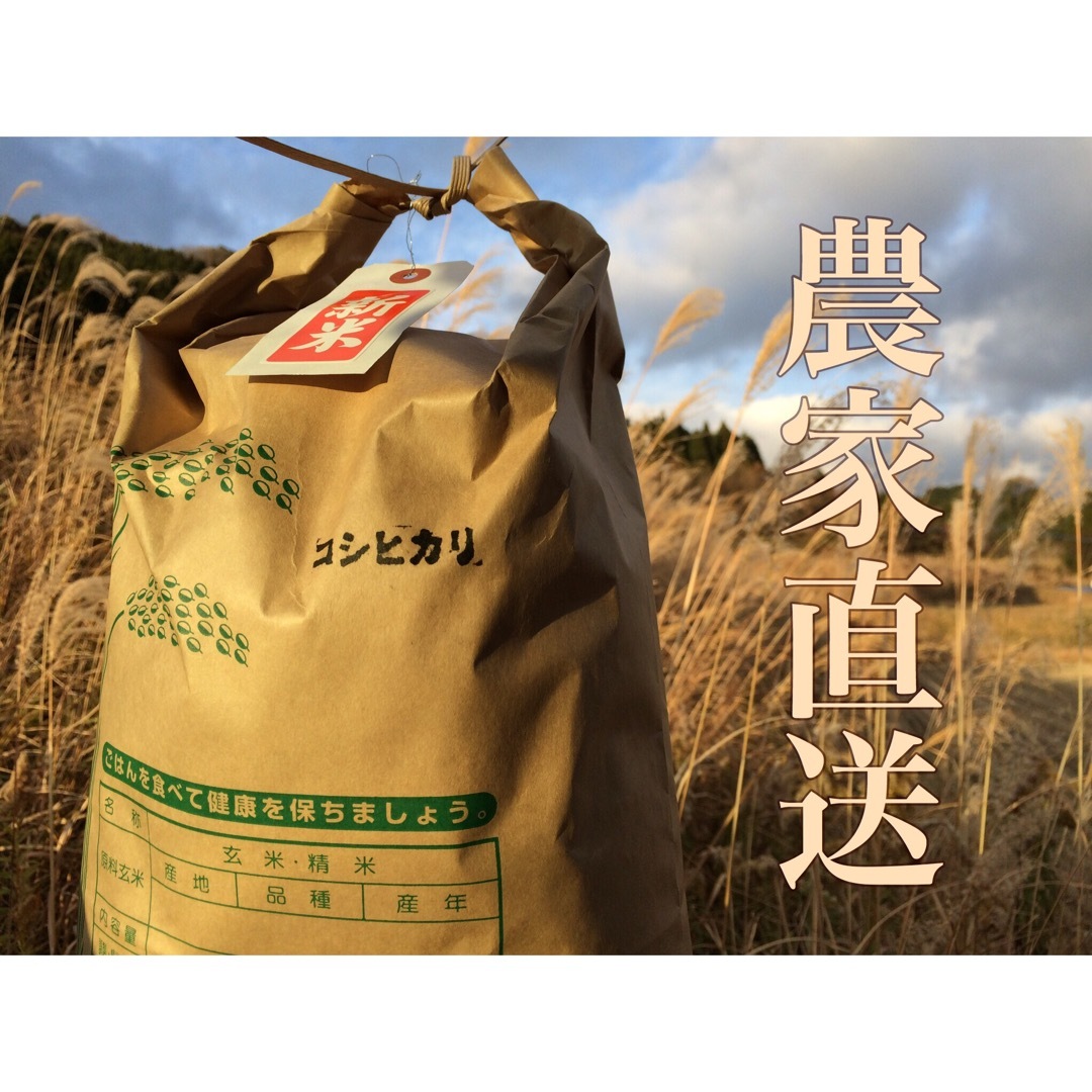 数量限定‼︎【送料無料】令和4年産『コシヒカリ』10Kg×2袋 - 米/穀物 数量限定‼︎【送料無料】令和4年産『つや姫』10Kg×2袋