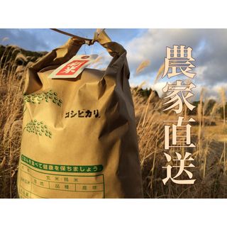   数量限定‼︎【送料無料】令和4年産『コシヒカリ』10Kg×2袋 (米/穀物)