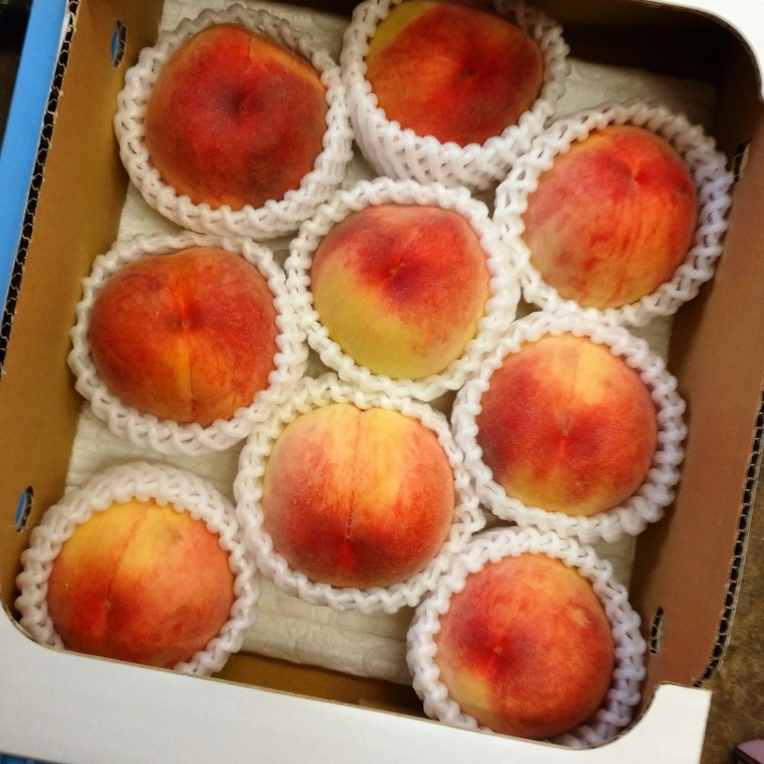 桃 果物 山梨県 食品/飲料/酒の食品(フルーツ)の商品写真