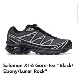 サロモン(SALOMON)のSALOMON XT-6 GORE-TEX  25cm(スニーカー)