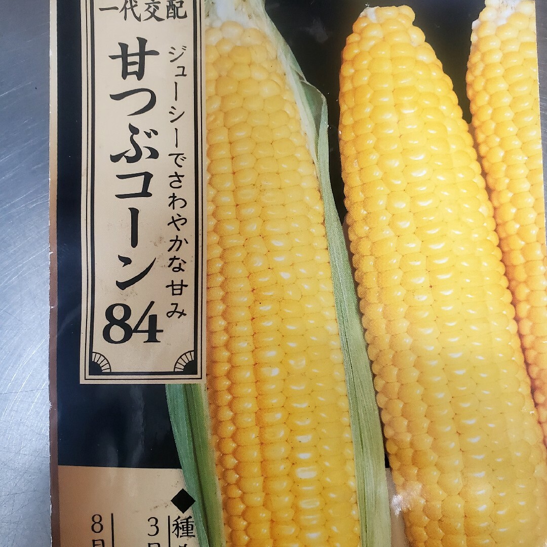 現金特価 淡路島産とうもろこし????スイートコーン12本