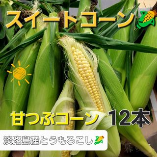 淡路島産とうもろこし🌽スイートコーン12本(野菜)