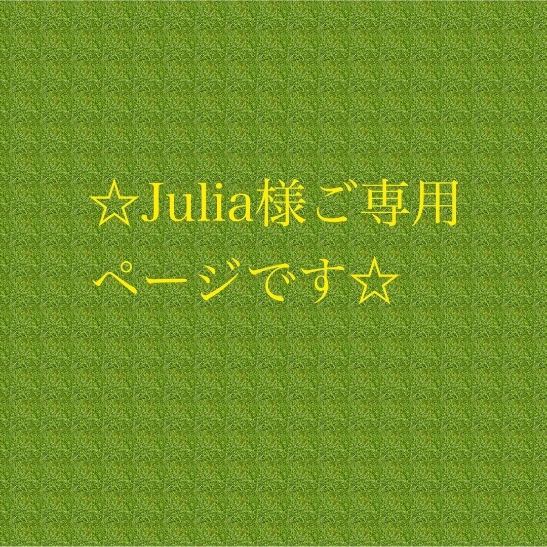 クリアランス販促品 Julia様ご専用ページです ハンドメイド | bca.edu.gr