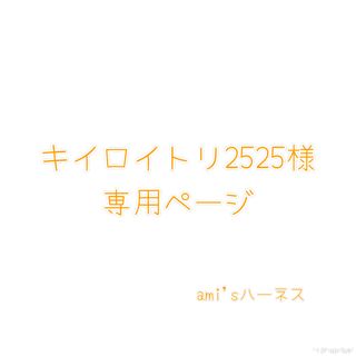 ジャニーズ(Johnny's)のキイロイトリ2525様専用ページです。(キャラクターグッズ)