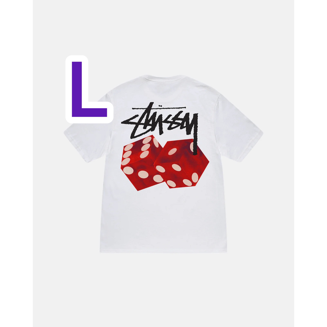 STUSSY DICED OUT TEE ステューシー　半袖　Tシャツ