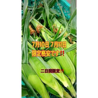 愛知県減農薬とうもろこし10本前後(野菜)