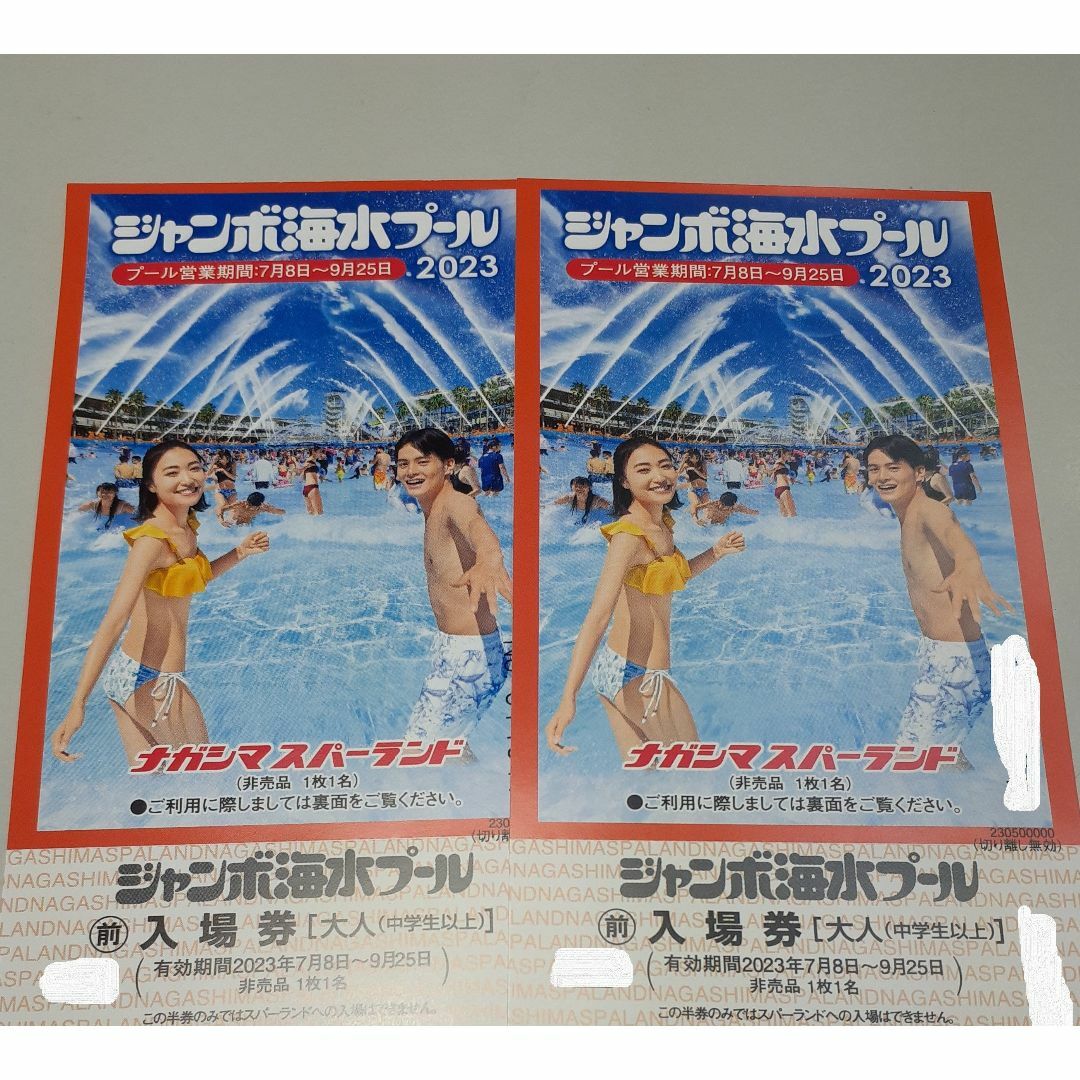 ナガシマジャンボ海水プール入場遊園地入場券(2枚)