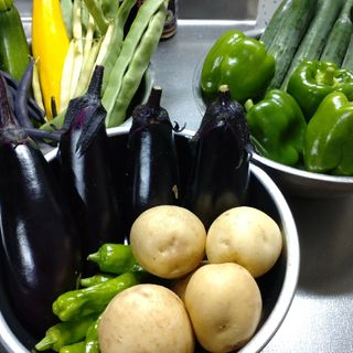 野菜詰め合わせセット　無農薬栽培(野菜)