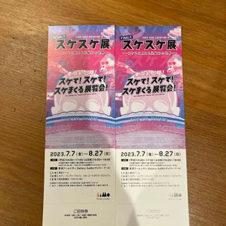 スケスケ展　東京　2枚ペア(その他)