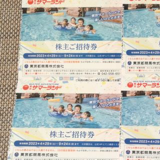 東京サマーランドフリーパス2枚(遊園地/テーマパーク)