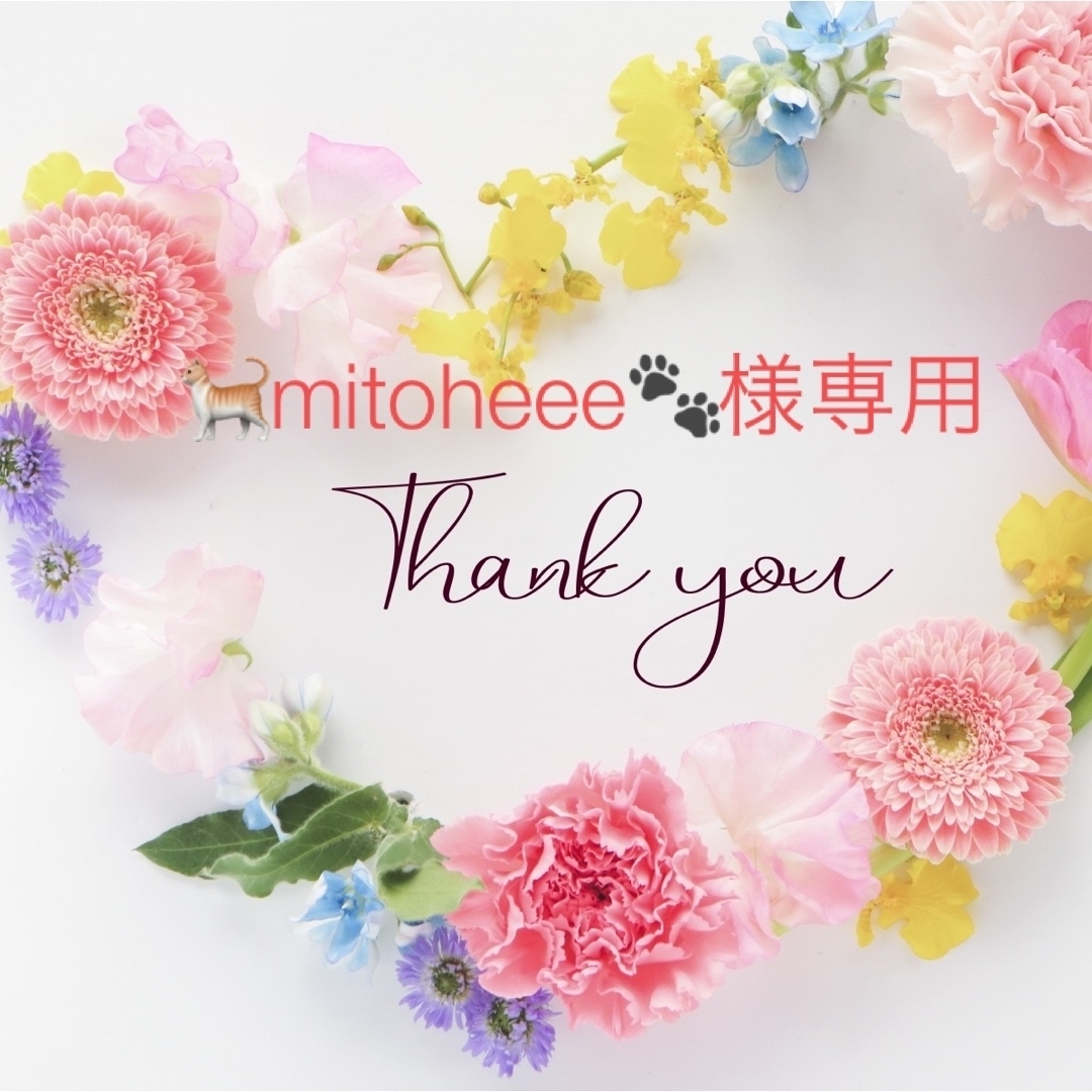 🐈mitoheee🐾様専用商品 リピーター様の通販 by Patissiere's shop|ラクマ
