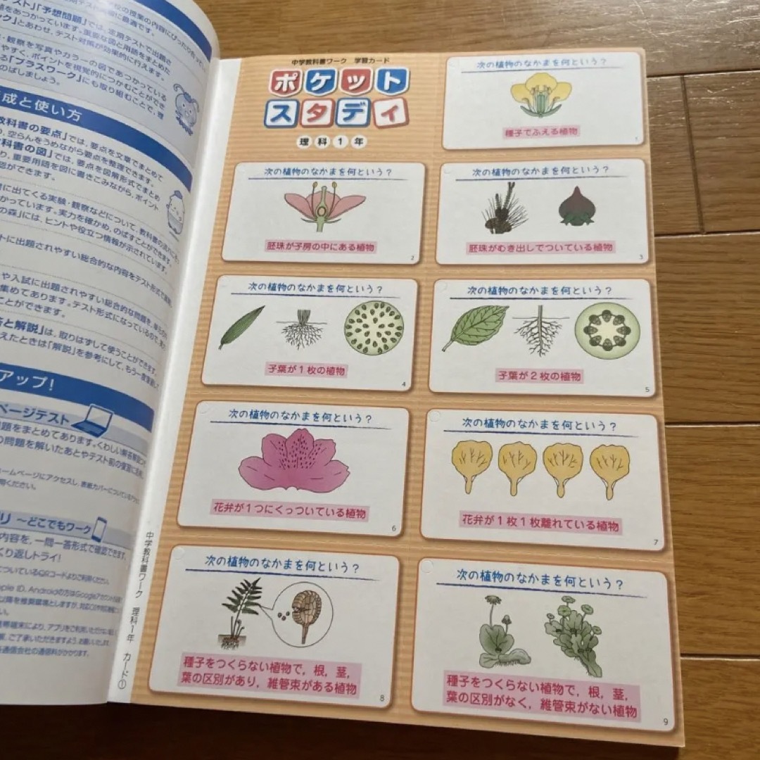 東京書籍(トウキョウショセキ)の教科書ワーク　教科書トレーニング エンタメ/ホビーの本(語学/参考書)の商品写真