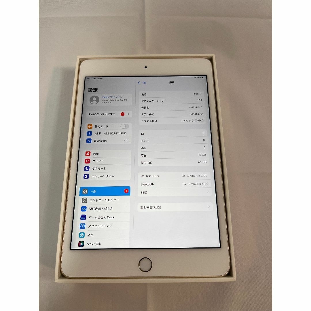 iPad mini4 16GB Wifi アイパッド Apple 6