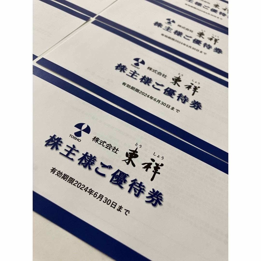 東祥 株主優待券 8枚 ホリデイスポーツクラブ 2024年6月末期限