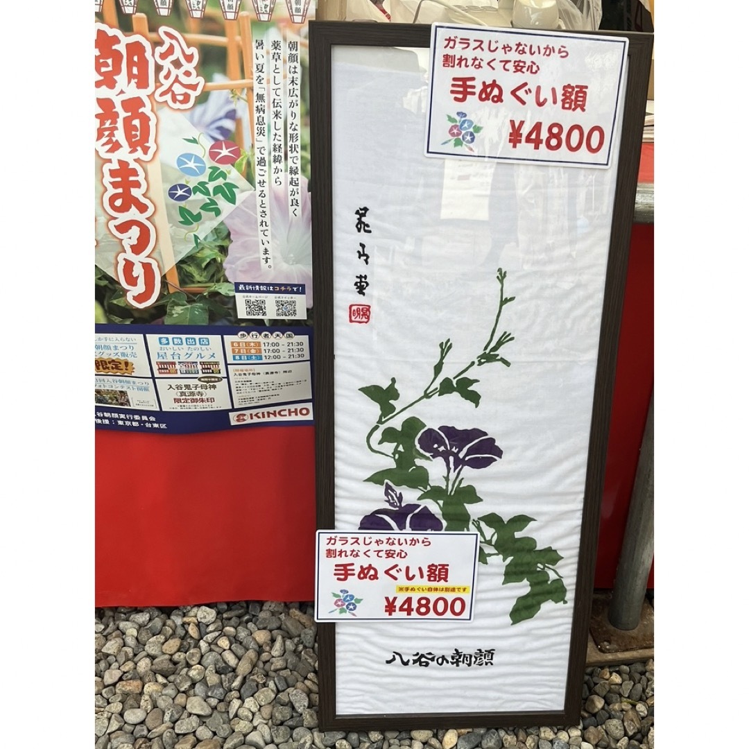 【入谷鬼子母神 (真源寺)】伝統染手ぬぐい 朝顔  朝顔まつり 限定‼️ インテリア/住まい/日用品の日用品/生活雑貨/旅行(タオル/バス用品)の商品写真