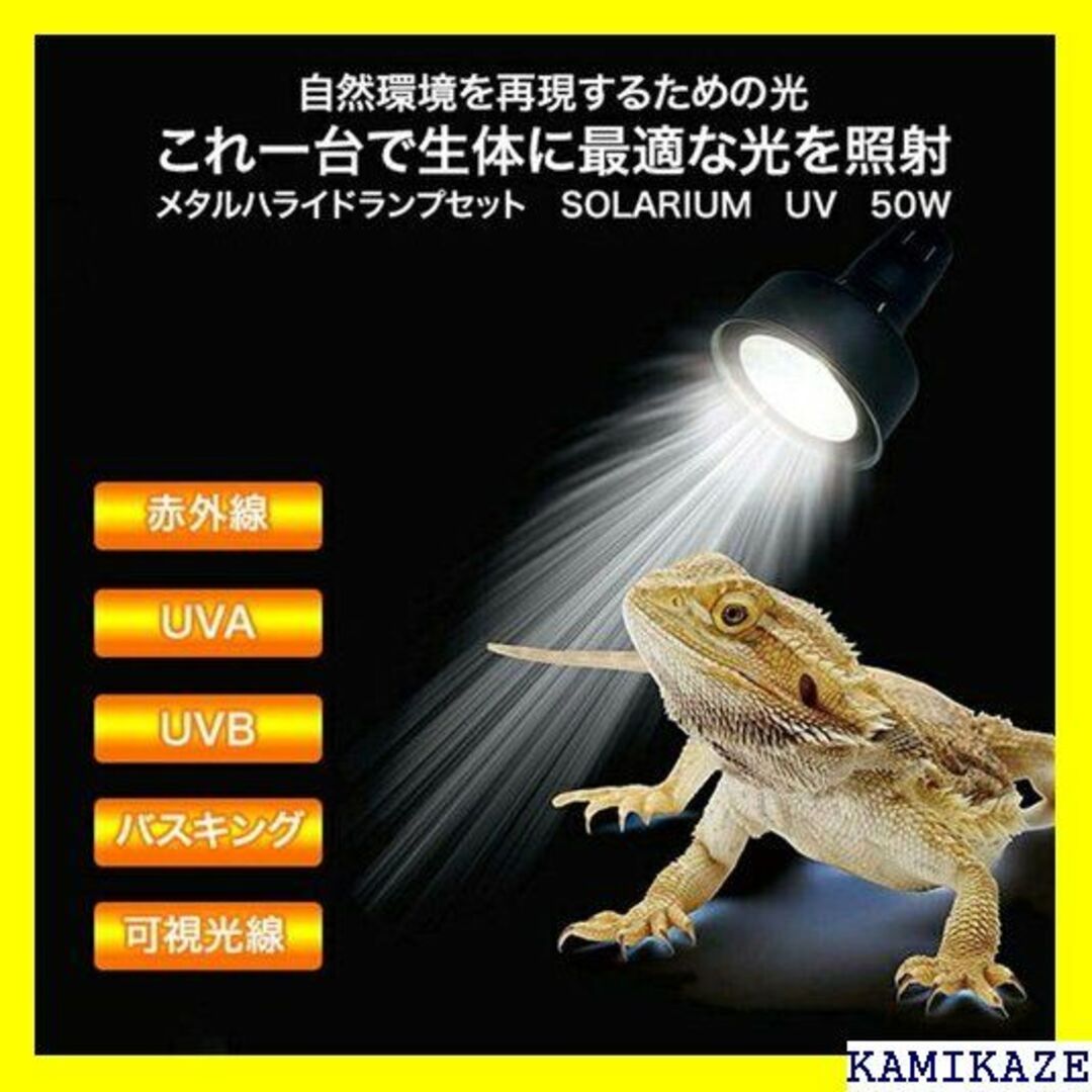 ☆ ゼンスイ ソラリウムセット メタルハライドランプ+灯具 50W 406