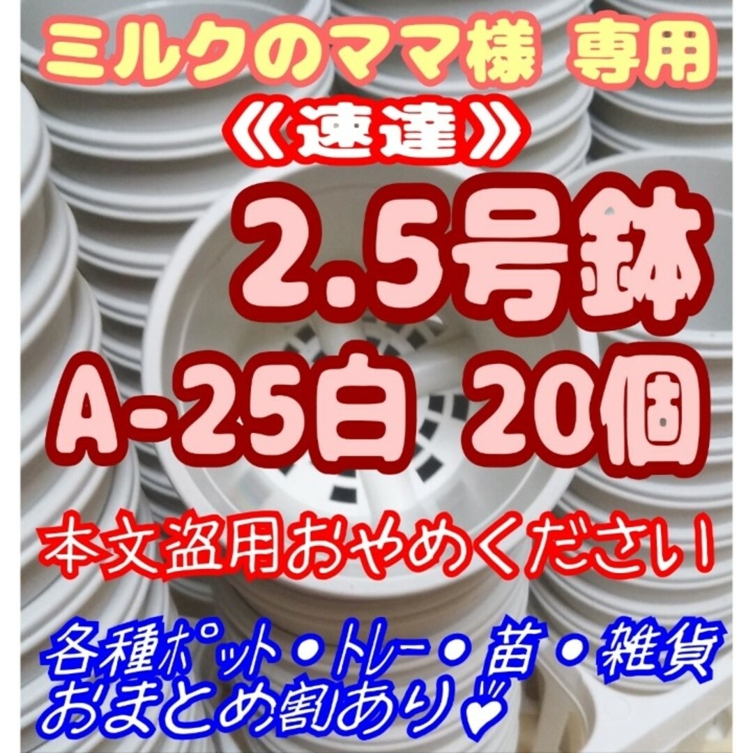 《速達》プラ鉢【A-25】20個 スリット鉢 丸 プレステラ 多肉植物 ハンドメイドのフラワー/ガーデン(プランター)の商品写真