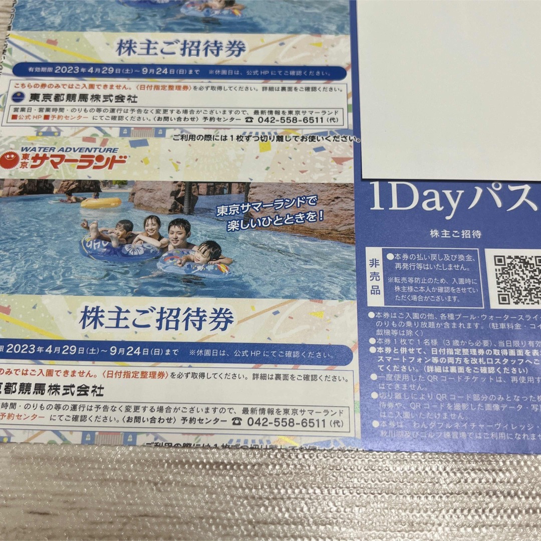 メール便不可】 東京都競馬 株主優待 サマーランド1Dayパス 2枚