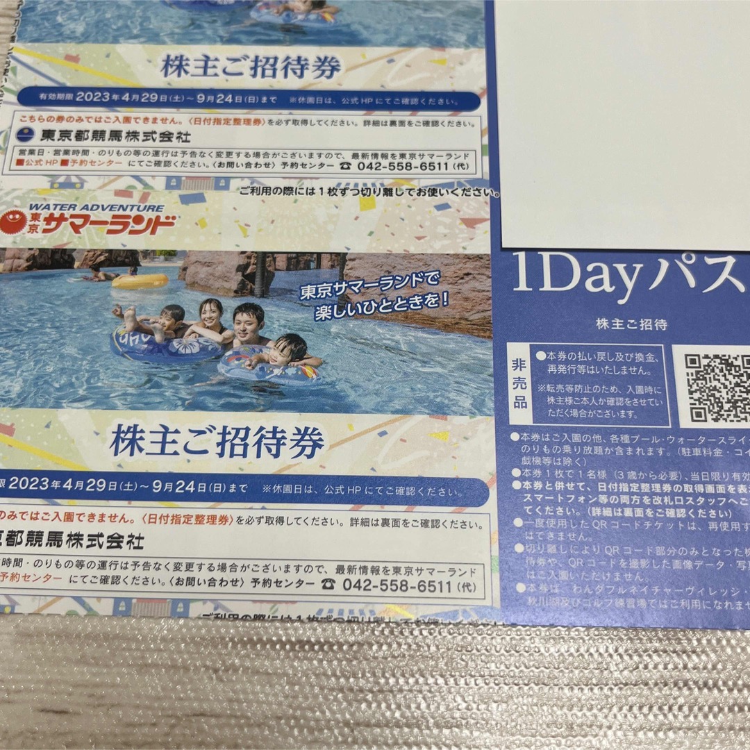 東京都競馬 株主優待 東京サマーランド1Dayパス2枚セット。7月8月も利用可 チケットの施設利用券(遊園地/テーマパーク)の商品写真