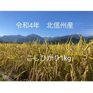 令和4年　新米長野産コシヒカリ　1kg　ゆうパケットポスト(米/穀物)