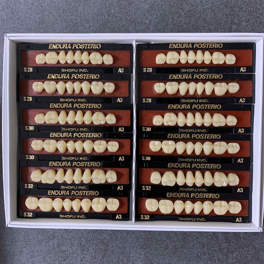 歯科技工　技工　人工歯