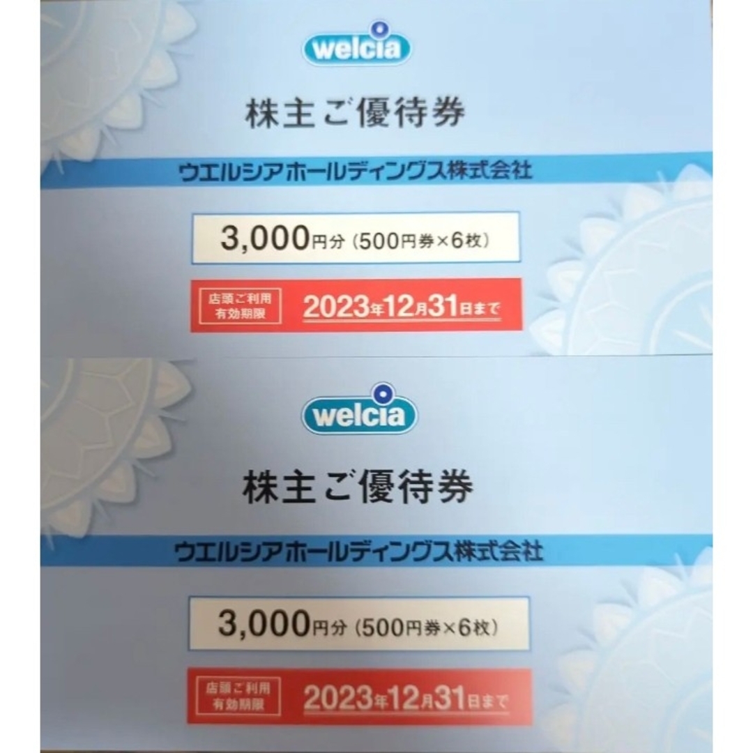 【送料無料】ウェルシア 株主優待 6000円分